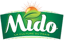 Mido Logo